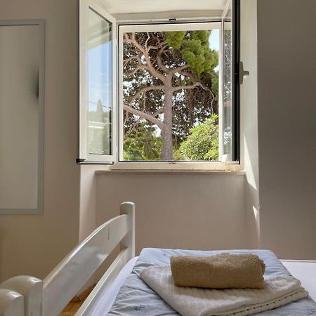 Tree Apartment Дубровник Екстериор снимка