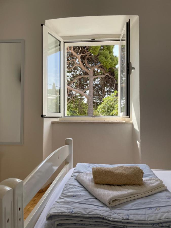 Tree Apartment Дубровник Екстериор снимка